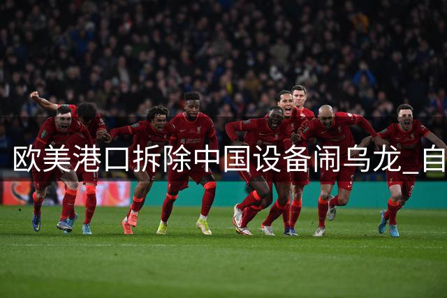 欧美港口拆除中国设备闹乌龙 自动化系统停摆引混乱