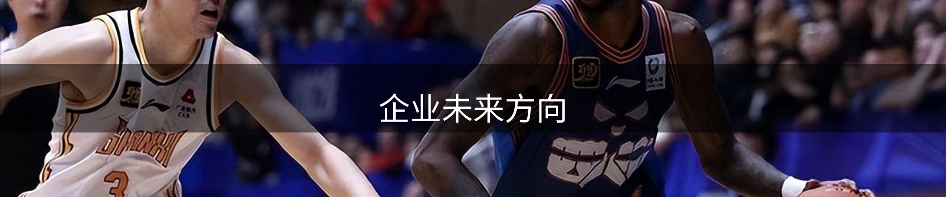 企业未来方向